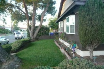 Arabella's House